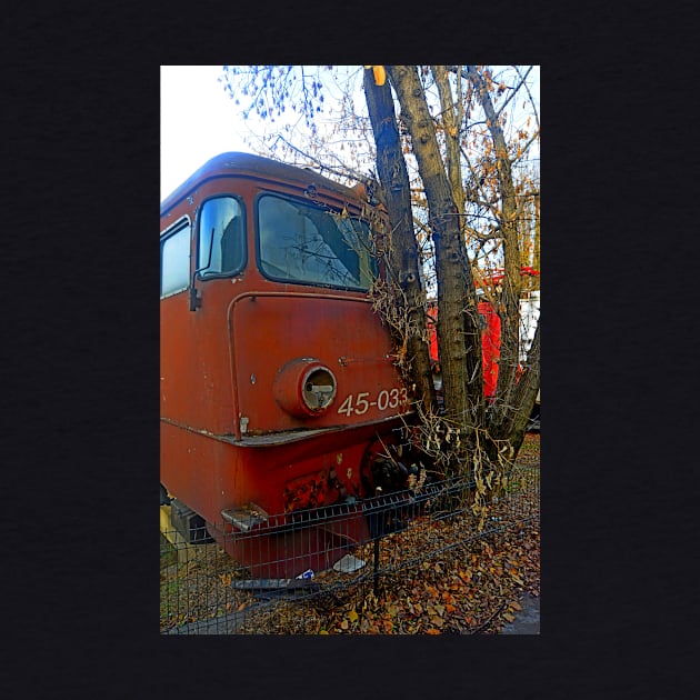 Disused loco, Romania by Random Railways